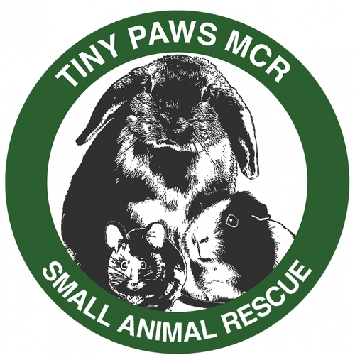 Tiny Paws MCR eCards