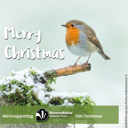 Corporate Christmas E-Cards eCards