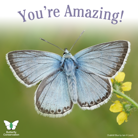Send a You're Amazing e-card eCards