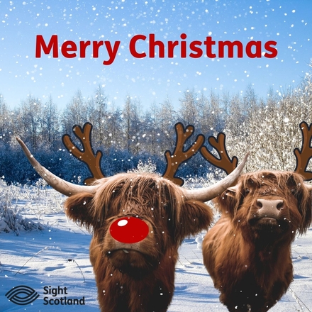 Send Christmas E-Cards eCards