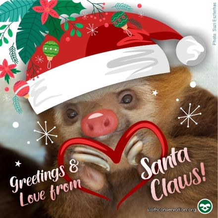 Send Christmas E-Cards eCards