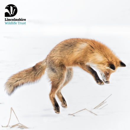 Send a corporate Christmas e-card eCards