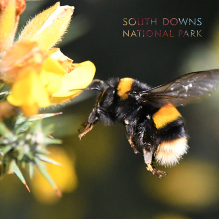 Give the gift of Nature to the one you love eCards