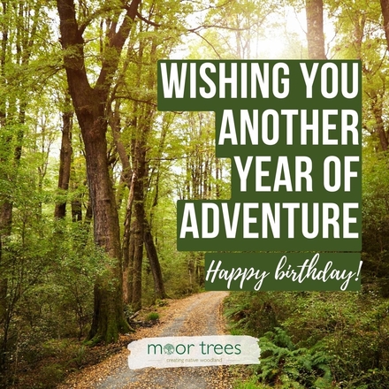 Send a Birthday E-Card eCards