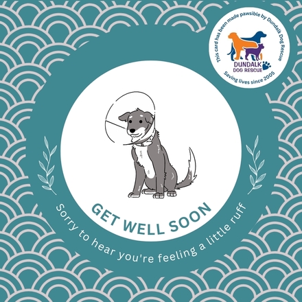 Send Get Well Soon E-Cards eCards
