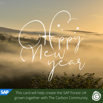 Send a Holiday eCard supporting SAP Forest UK in partnership with The Carbon Community eCards
