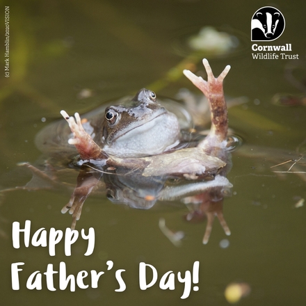 Father's Day eCards
