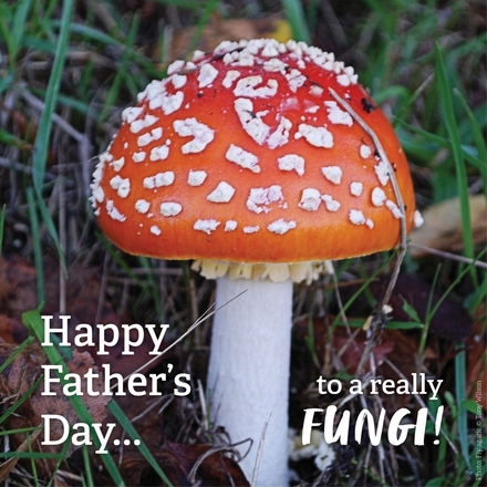 Send a Father's Day card eCards