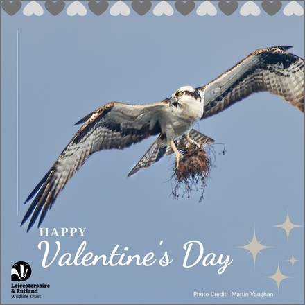 Send a Valentine's Day E-Card eCards