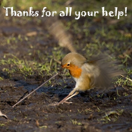 Send Thank You E-Cards eCards