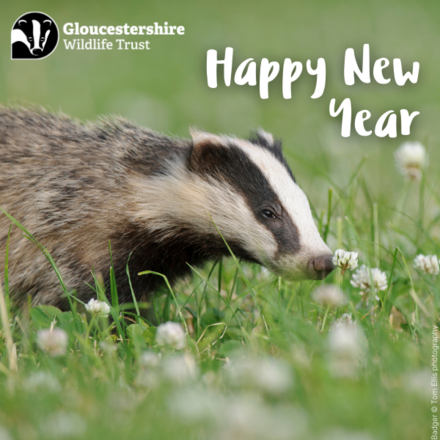 Send New Year E-Cards eCards