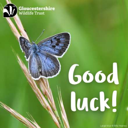 Send good luck wishes with a touch of nature eCards