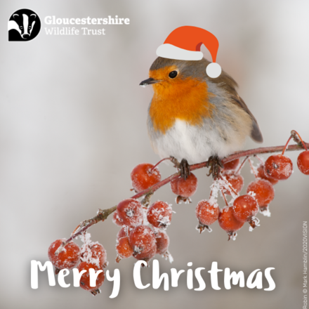 Send Corporate Christmas eCards eCards