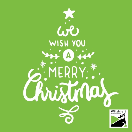 Send Christmas E-Cards eCards