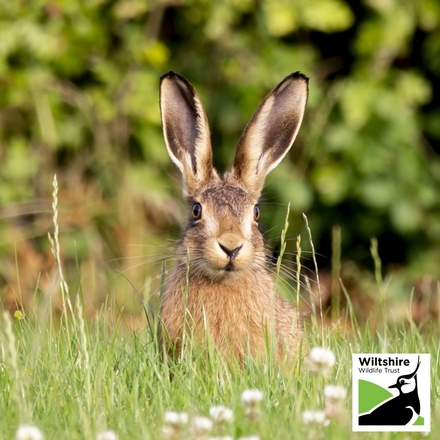 Send Easter E-Cards eCards