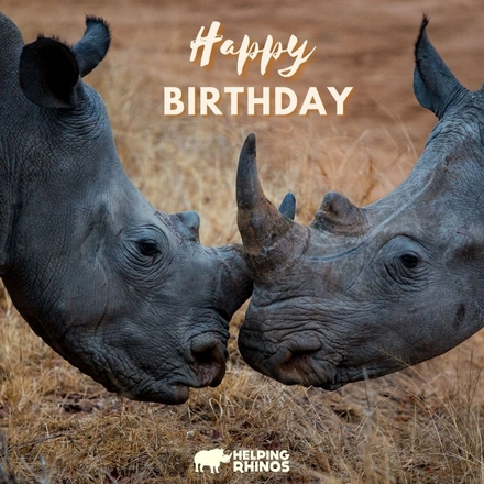 Send a Birthday E-Card eCards