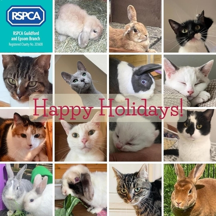 Xmas eCards