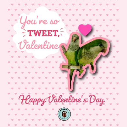 2025 Valentine's Day eCards
