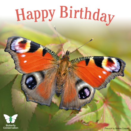 Send a Birthday e-card eCards