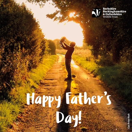 Send a Father's Day E-Card eCards