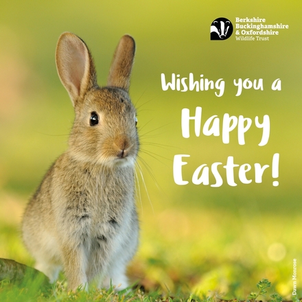 Send Easter E-Cards eCards