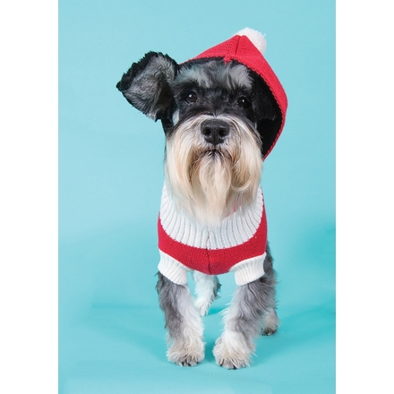 Send Christmas E-Cards eCards