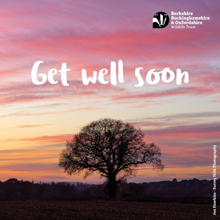 Send a Get Well e-card eCards
