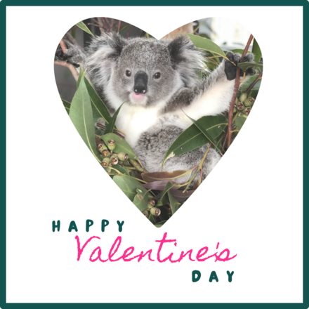Send a Valentine's Day E-Card eCards