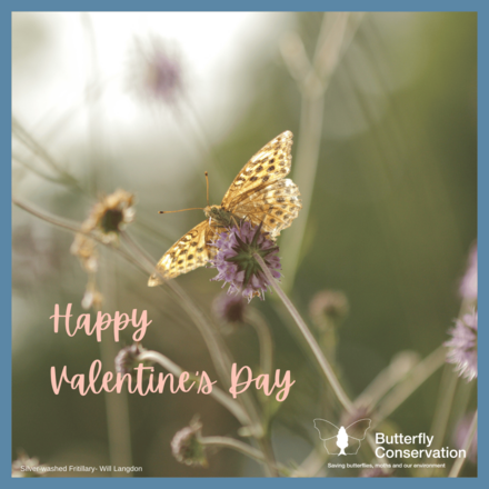 Do you have someone special who makes your heart flutter?  eCards