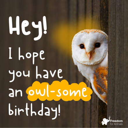 Birthdays 🍰 eCards