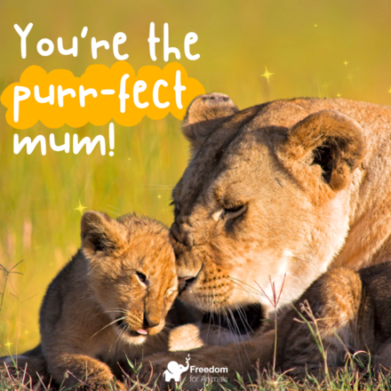 Mother's Day ✨ eCards