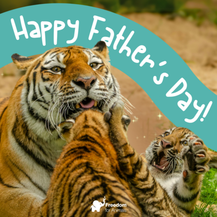 Father's Day 💝 eCards