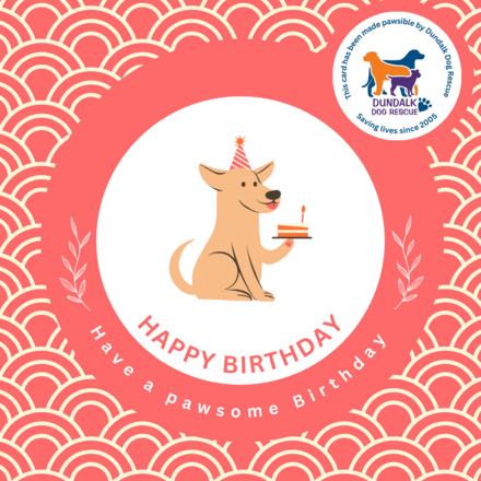 Send a Birthday E-Card eCards