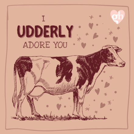 Send a Valentine's Day E-Card eCards