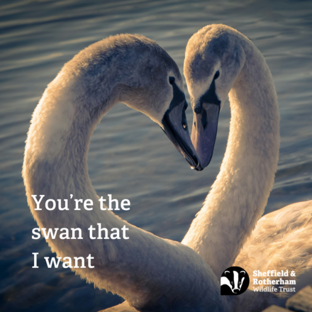 Send a Valentine's Day E-Card eCards