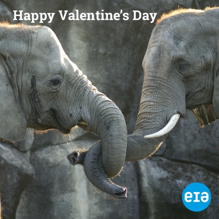 Send a Valentine's Day E-Card eCards