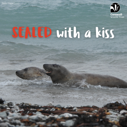 Valentine's Day eCards