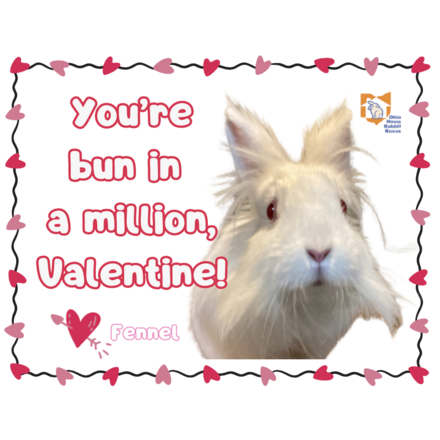 A Bunny Valentine eCards