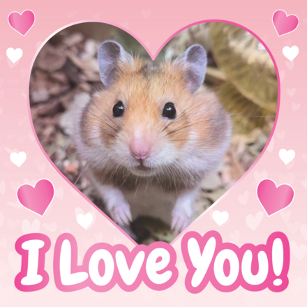 Happy Valentine's Day! eCards