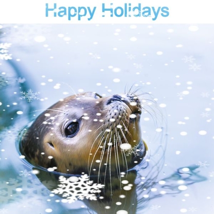 Wildlife Wishes eCards