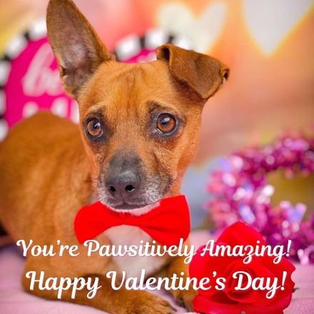 Valentine's Day  eCards