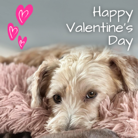 Sending a special Valentine Card eCards