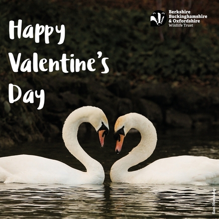 Send a Valentine's Day E-Card eCards