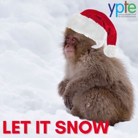 Send Christmas e-cards eCards