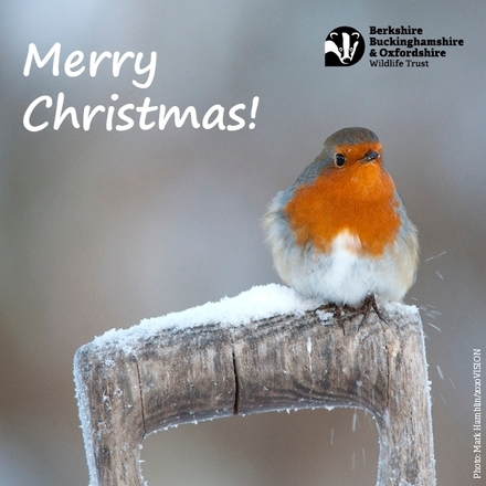 Send a Christmas e-card eCards