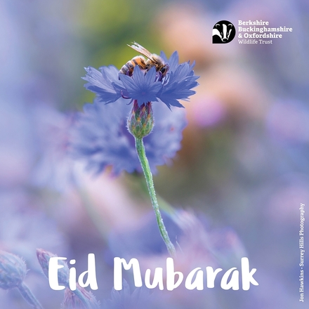 Send an E-Card for Eid eCards