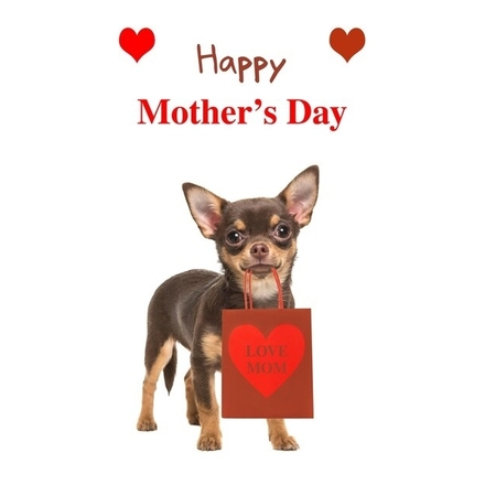 Send a Mother's Day E-Card eCards