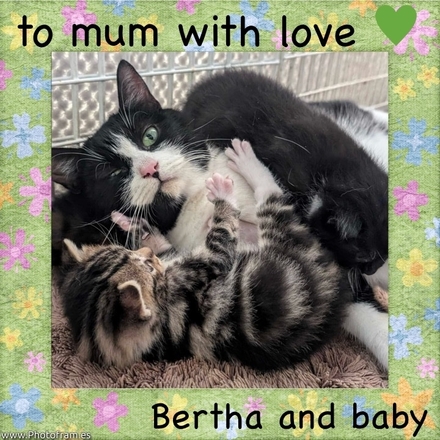 Send a Mother's Day E-Card eCards
