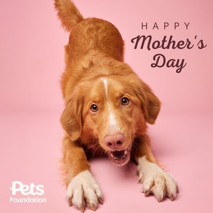 Send a Mother's Day E-Card eCards
