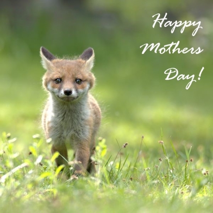 Send a Mother's Day E-Card eCards